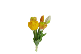 Tulipán svazek zeleno-žlutý, 5 ks