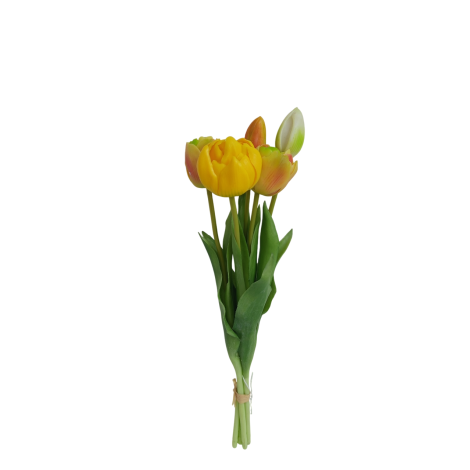 Tulipán svazek zeleno-žlutý, 5 ks