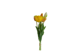 Tulipán svazek zeleno-žlutý, 5 ks