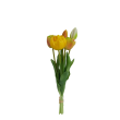 Tulipán svazek zeleno-žlutý, 5 ks