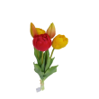Tulipán svazek žluto-červený, 5 ks