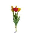 Tulipán svazek žluto-červený, 5 ks