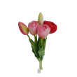 Tulipán svazek žluto-červený, 5 ks