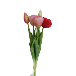 Tulipán svazek 5 ks růžovo-červený 39 cm