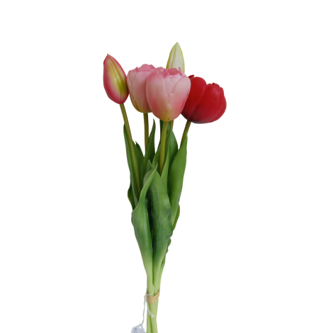Tulipán svazek žluto-červený, 5 ks