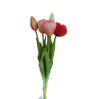 Tulipán svazek žluto-červený, 5 ks