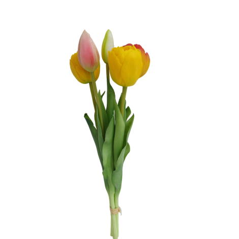 Tulipán svazek žluto-oranžový, 5 ks