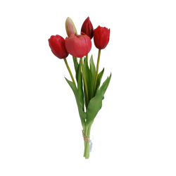 Tulipán svazek 5 ks červený 39 cm