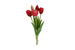 Tulipán svazek 5 ks červený 39 cm