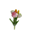 Tulipán svazek bílo-růžový, 5 ks
