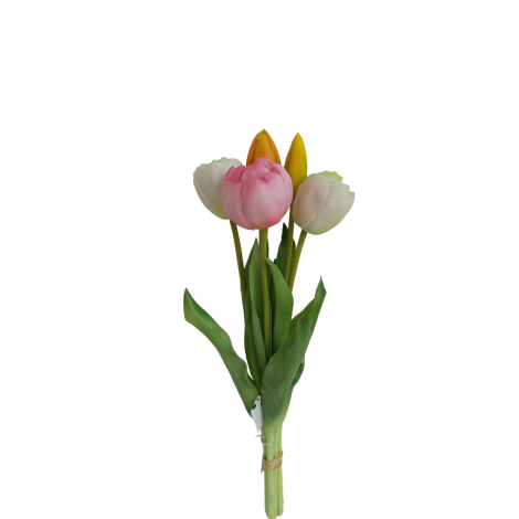 Tulipán svazek bílo-růžový, 5 ks