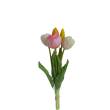 Tulipán svazek bílo-růžový, 5 ks