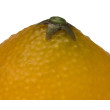Citron