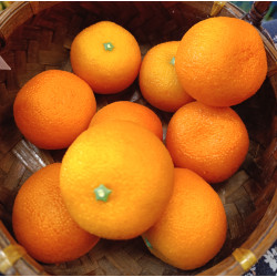Mandarinka