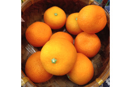 Mandarinka