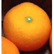 Mandarinka