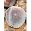 Mandarinka