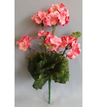 Muškát sv. růžový vývazek 40 cm