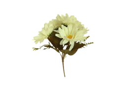Gerbera kytice, krém