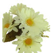 Gerbera kytice, krém