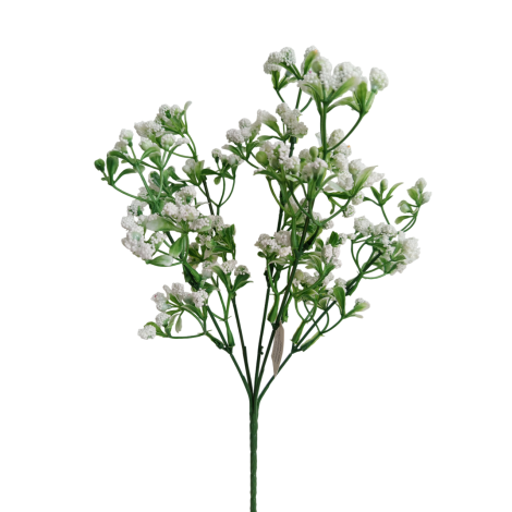 Gypsophila bílá