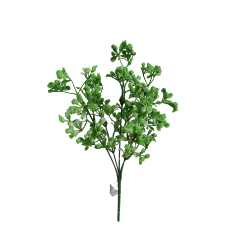 Gypsophila bílá
