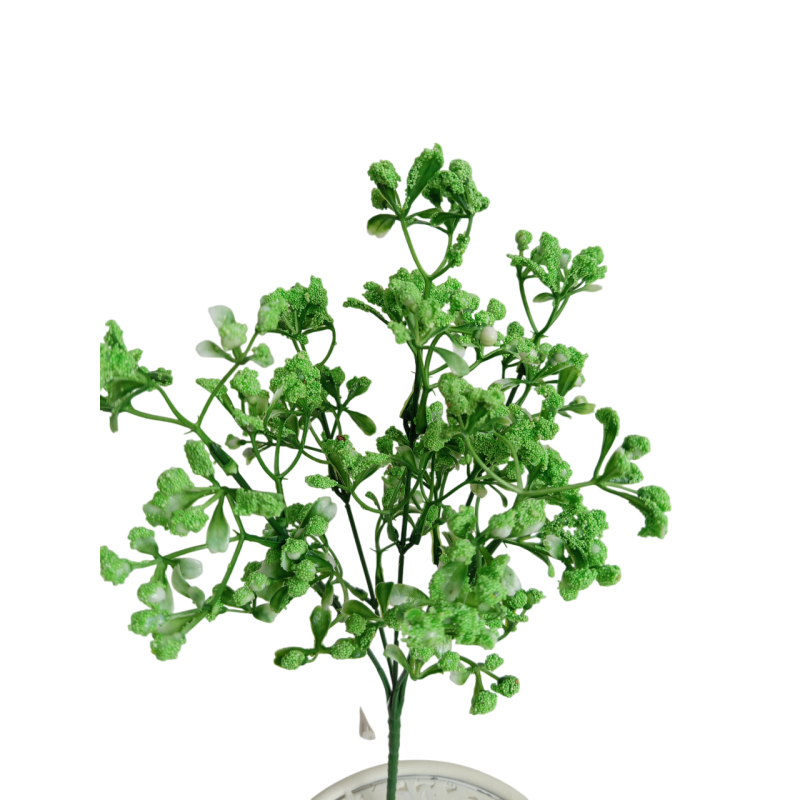 Gypsophila bílá