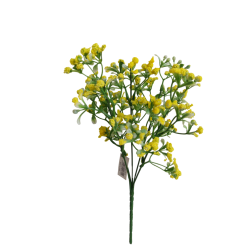 Gypsophila žlutá 33 cm