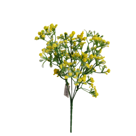 Gypsophila žlutá