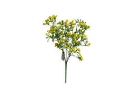 Gypsophila žlutá