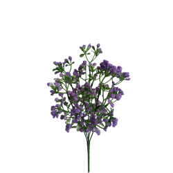 Gypsophila fialová 33 cm