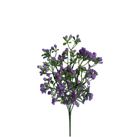 Gypsophila bílá