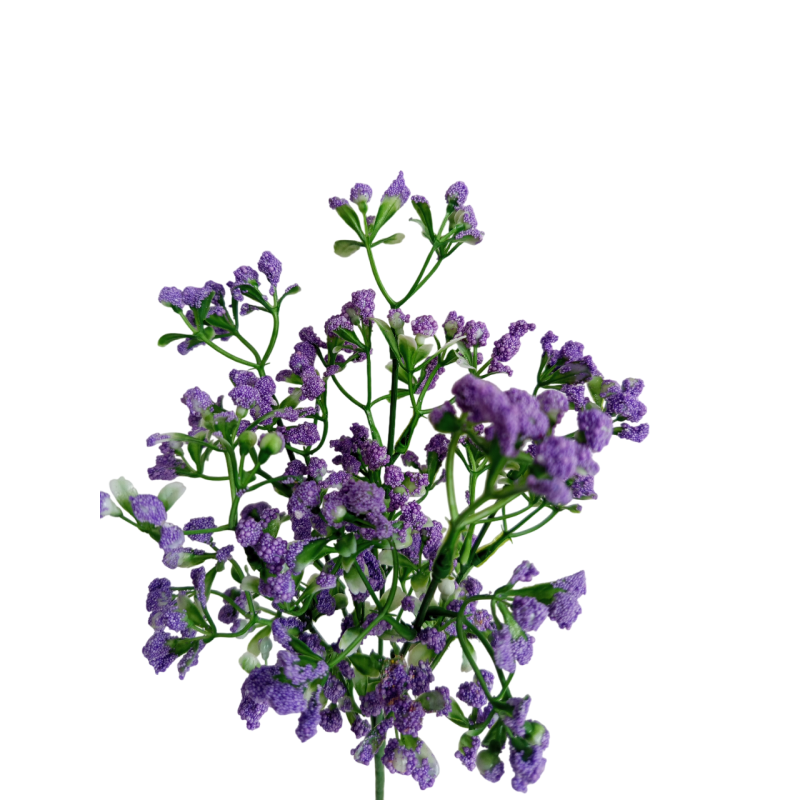 Gypsophila bílá