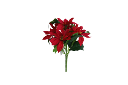 Poinsettie kytice malá