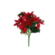 Poinsettie kytice
