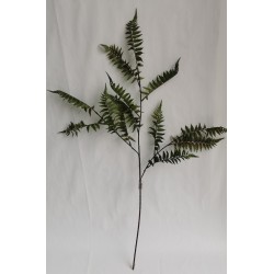 Kapradí větev, 100 cm, zelená