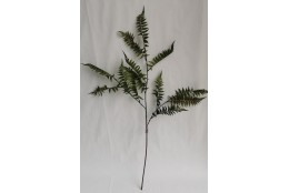 Kapradí větev, 100 cm, zelená