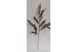 Kapradí větev, 100 cm, hnědá