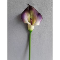 Kala fialová 70 cm