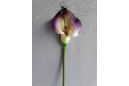 Kala fialová 70 cm