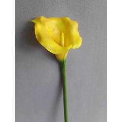 Kala žlutá 70 cm