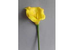 Kala žlutá 70 cm