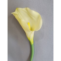 Kala sv. žlutá 70 cm