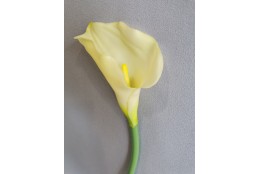 Kala sv. žlutá 70 cm