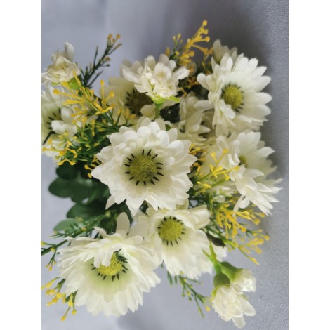 Gerbera kytička, 6 barev