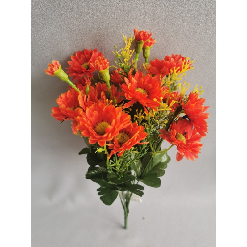 Gerbera kytička, 6 barev