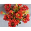 Gerbera kytička, 6 barev