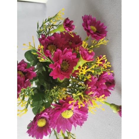 Gerbera kytička, 6 barev