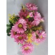 Gerbera kytička, 6 barev