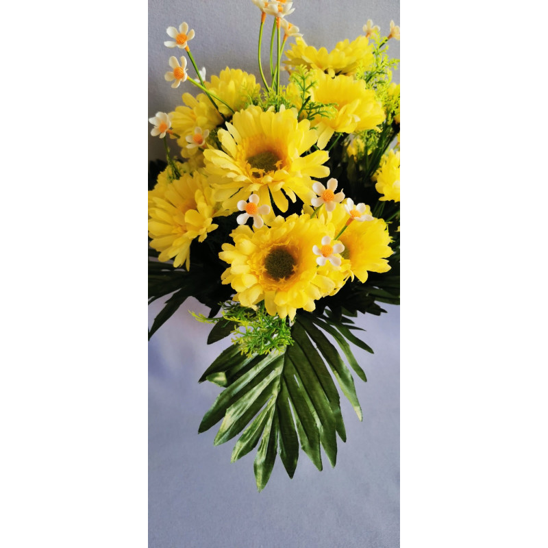 Gerbera kyrtice bohatá, 6 b.